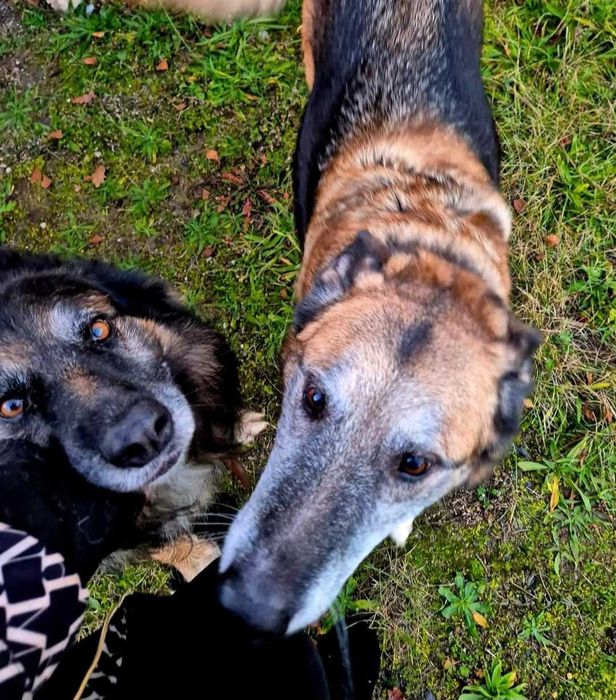 Matka z synem szukają domu