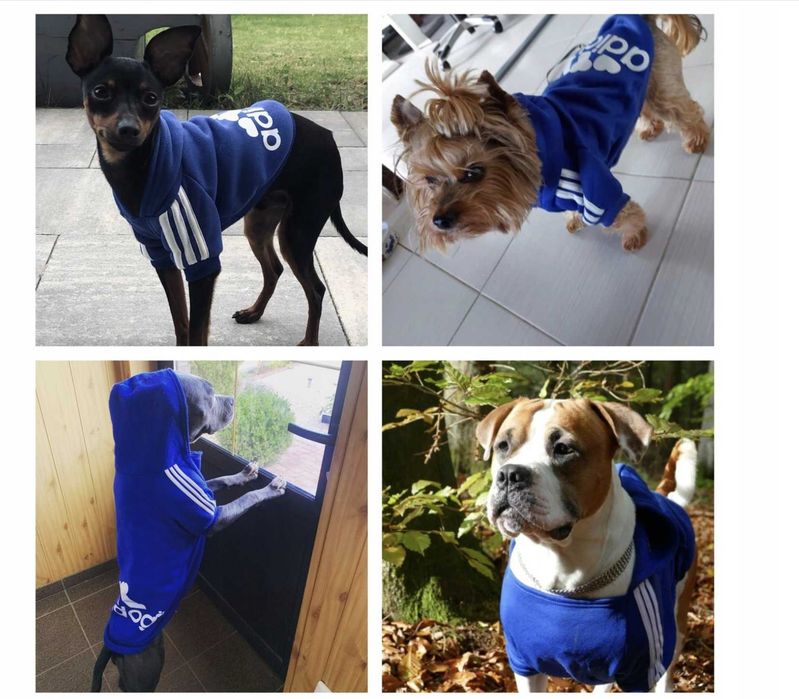 Bluza adidog ubranko dla psa S