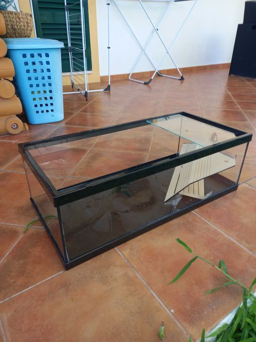 Terrário para tartaruga