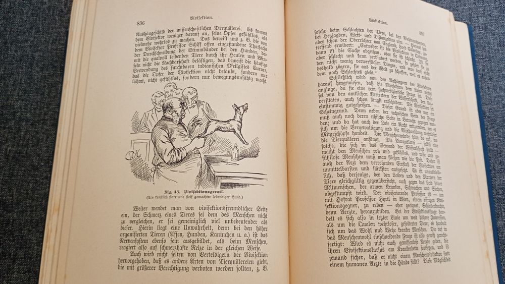M.Platen Die Neue Heilmethode