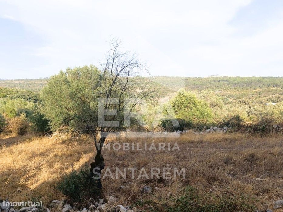 Moradia em Pedra com Vista Panorâmica