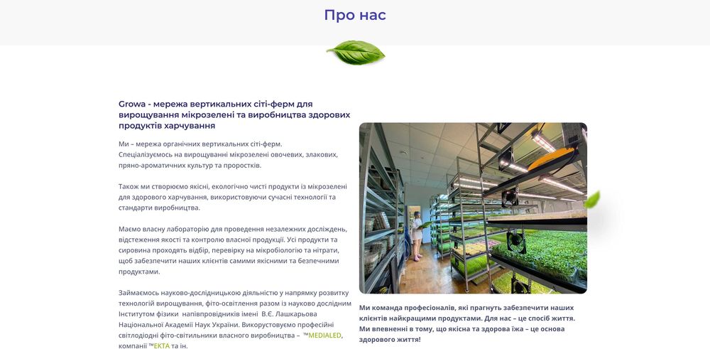 Онлайн-Бізнес: Інтернет-магазин здорового харчування. Окупність 12 міс