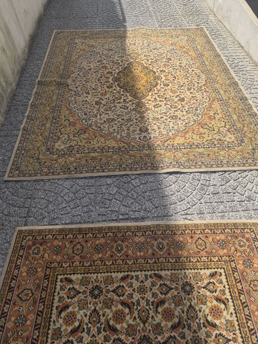 Carpetes de sala508721525991690244