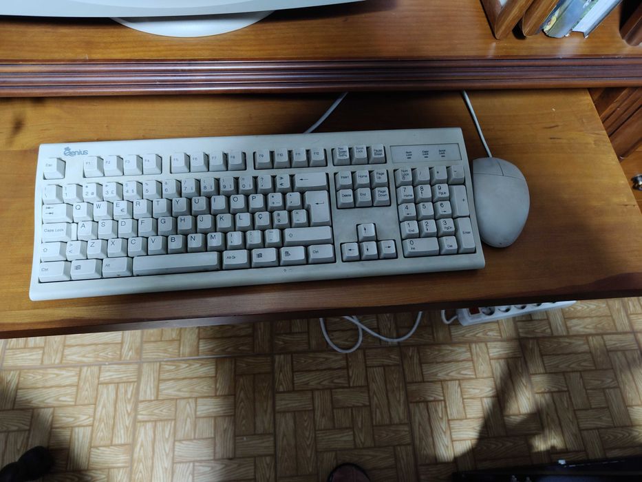 Teclado e rato funcional446392552675102721