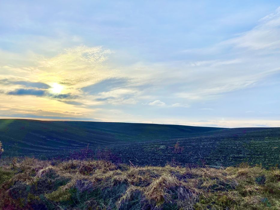 ‼️Продається ПАЙ Колоденка за хорошою ціною‼️