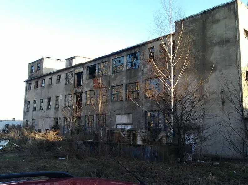 Do wynajęcia hala magazynowo - biurowa 700m2, Wola Krzysztoporska