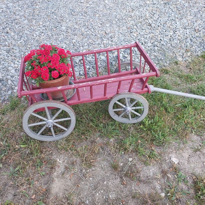 Wózek do ogrodu dekoracja
