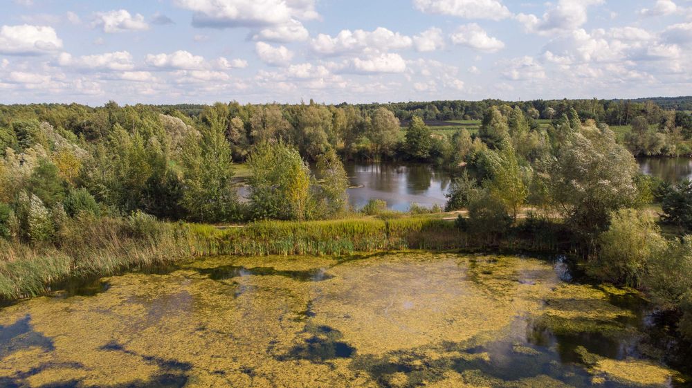 Działka 7,5ha, 6x stawy wędkarskie, przy rezerwacie Natura 2000 - Widok 3