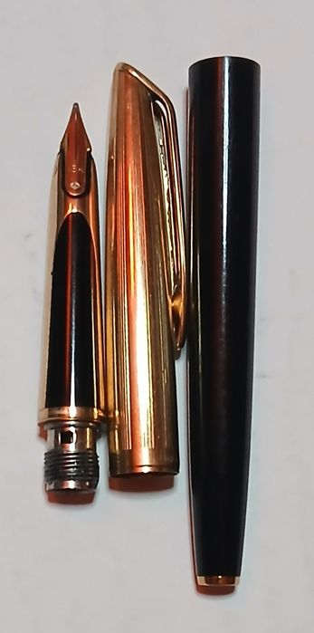 Waterman CF - Caneta de tinta permanente