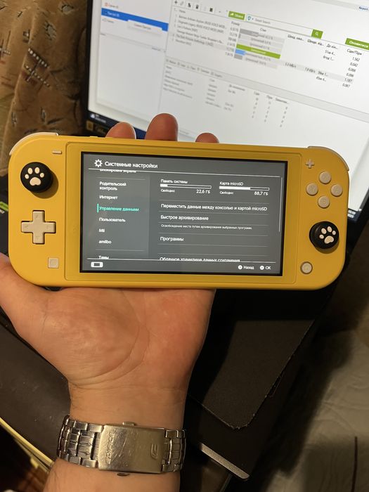 Nintendo switch lite