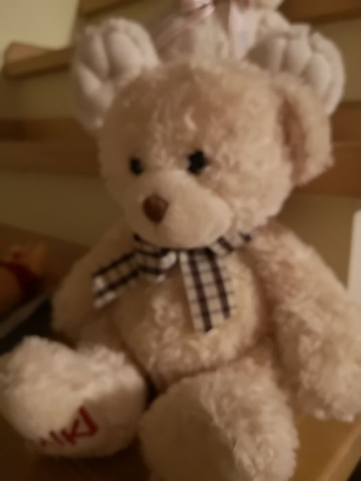 Pluszaki, misie różnej wielkości