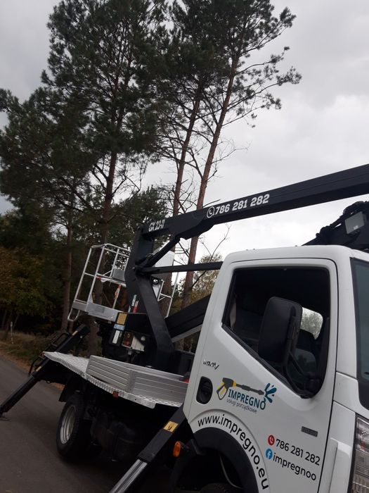 Wycinka/ ścinka drzew ,wynajem podnośnika ,malowanie elewacji,dachów