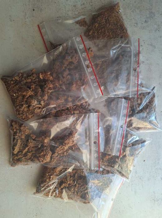 Propolis pszczeli (kit pszczeli)