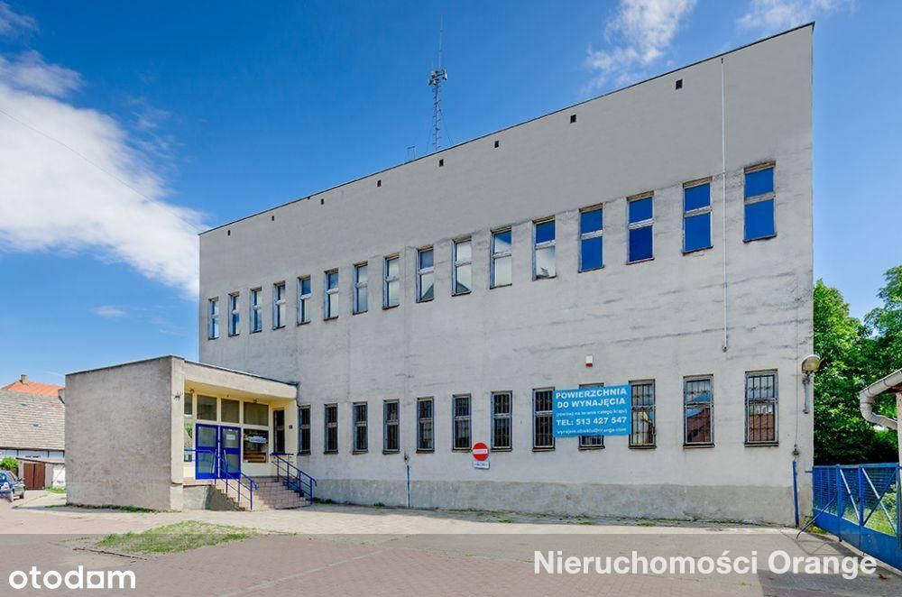 Budynek biurowy w centrum miasta