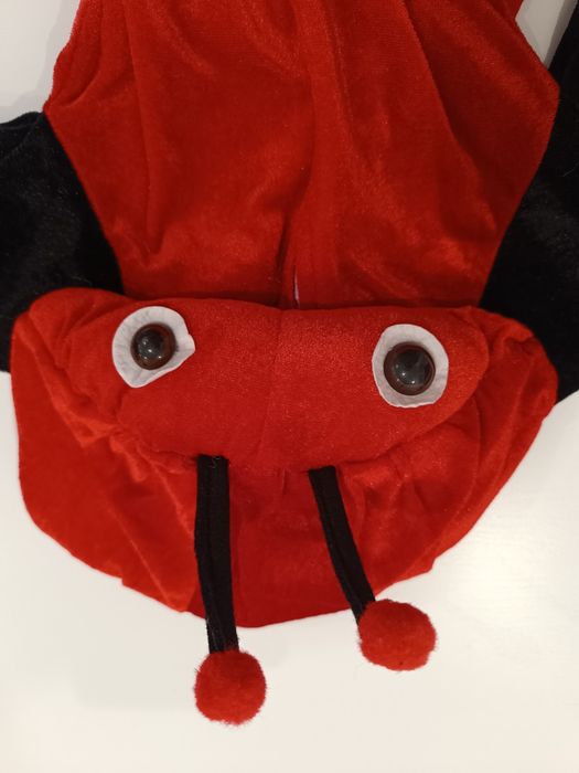 Fato carnaval Joaninha