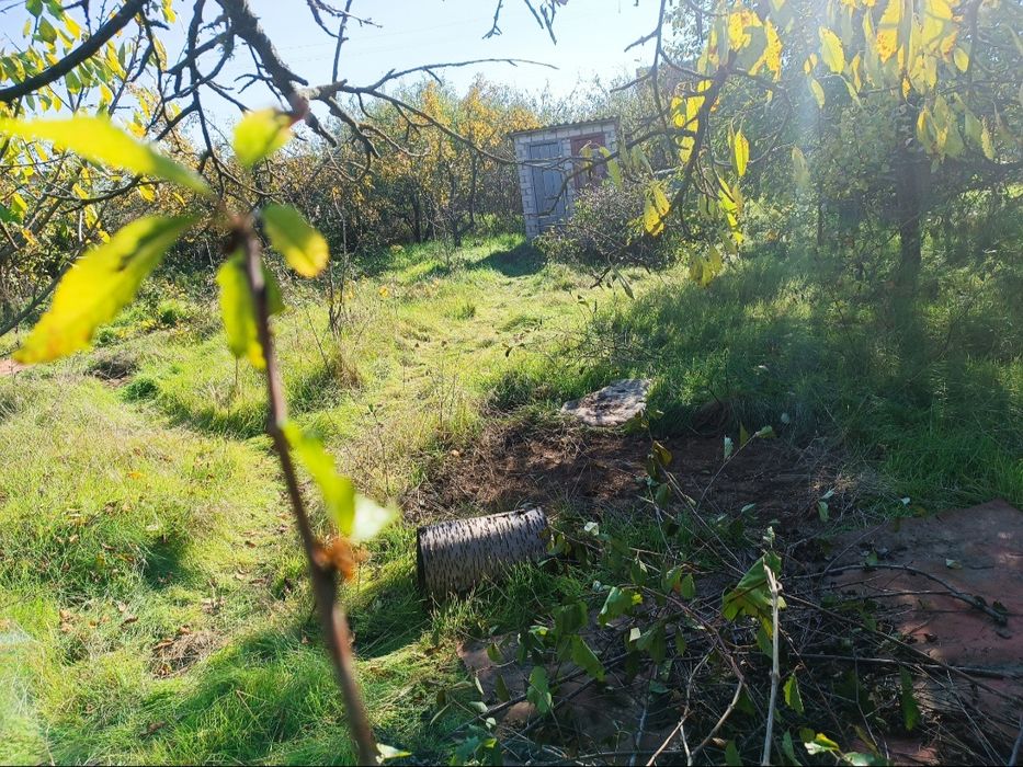 Дача лупарево бирюза