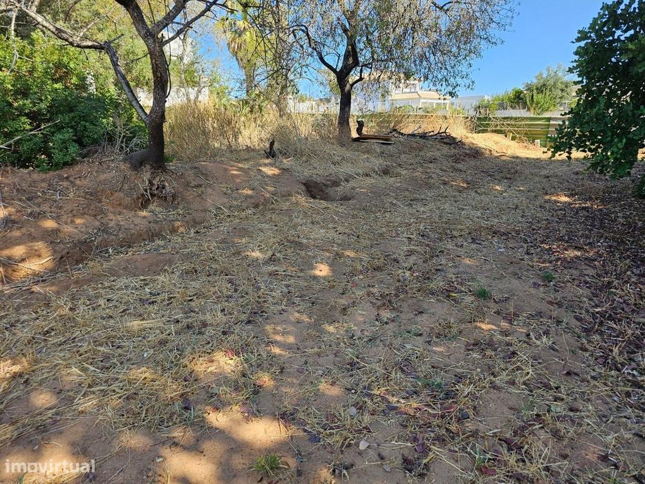 Terreno Rústico| São Clemente| Loulé