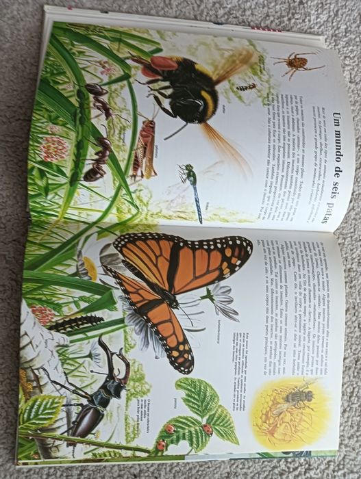 Natureza - Enciclopédia Juvenil com	muitas fotografias e ilustrações