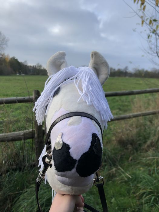 hobby horse(cena do negocjacji)