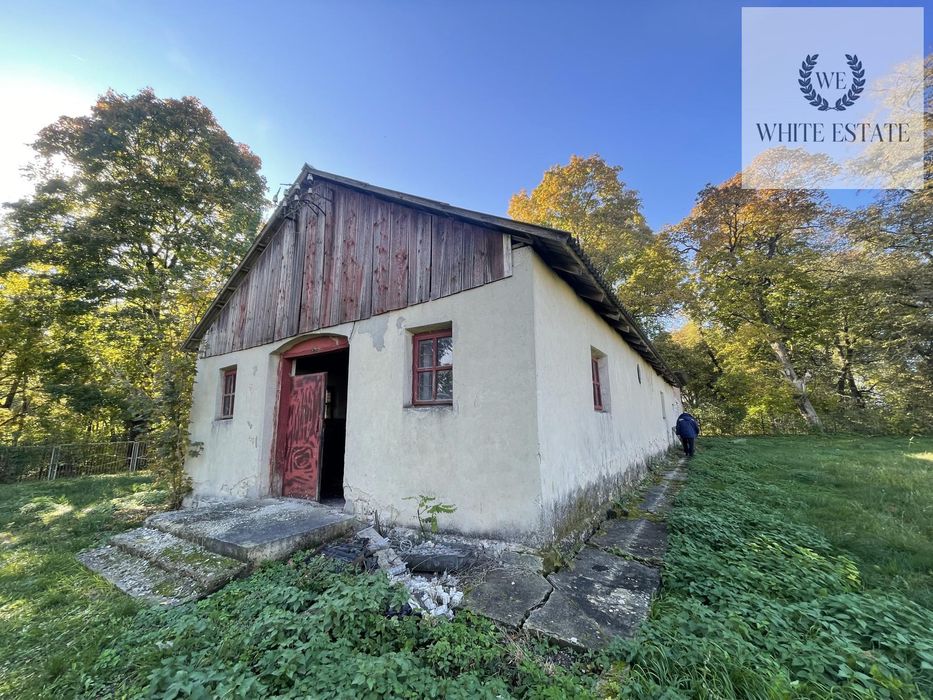 Оренда комерційного приміщення