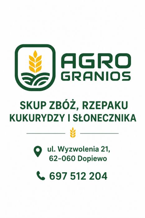 SKUP ZBOŻA - pszenica, kukurydza, rzepak, słonecznik i inne