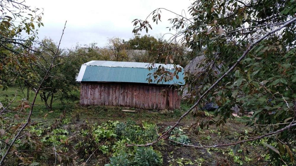 Земельна ділянка в с. Красилівка