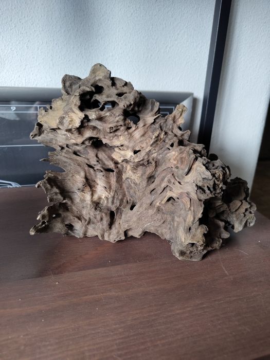 duas peças dragonwood