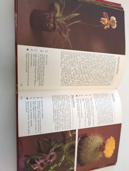O Livro das Plantas de Rob Hervig e Claude Riou