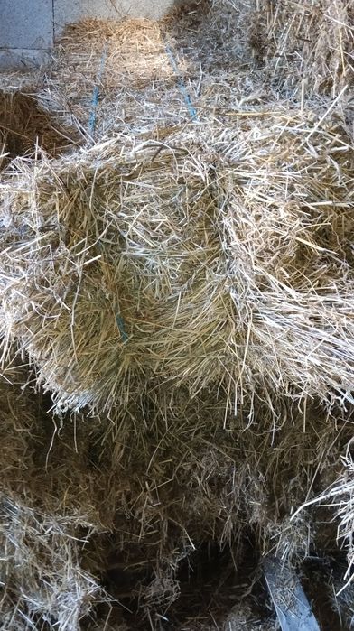 Fardos de palha pequenos