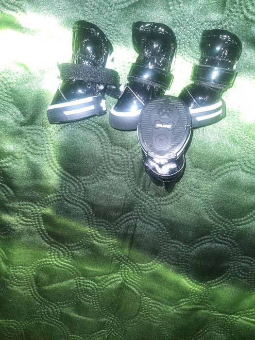 Черевички для собак