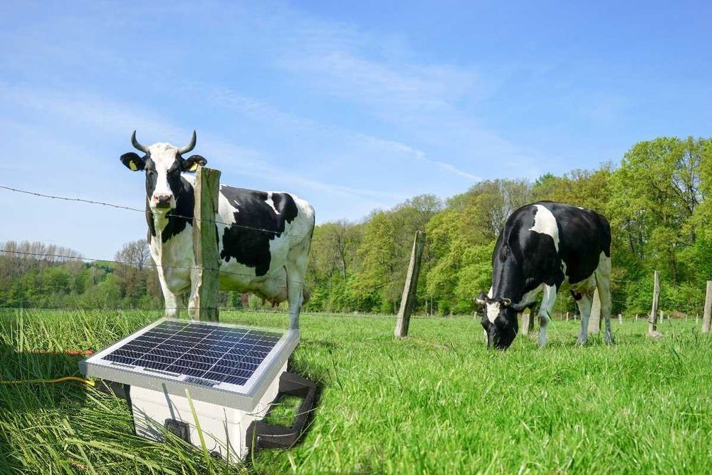 Електропастух , електропастух на сонячній батареї , электропастух: 2 950  грн. - Зоотовари Краковець на Olx