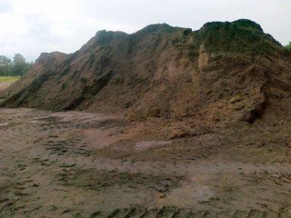 Ziemia ogrodowa pod trawnik, jarzyny!