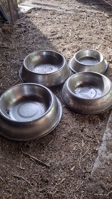 Miski, miseczki do karmienia psa, zwierząt