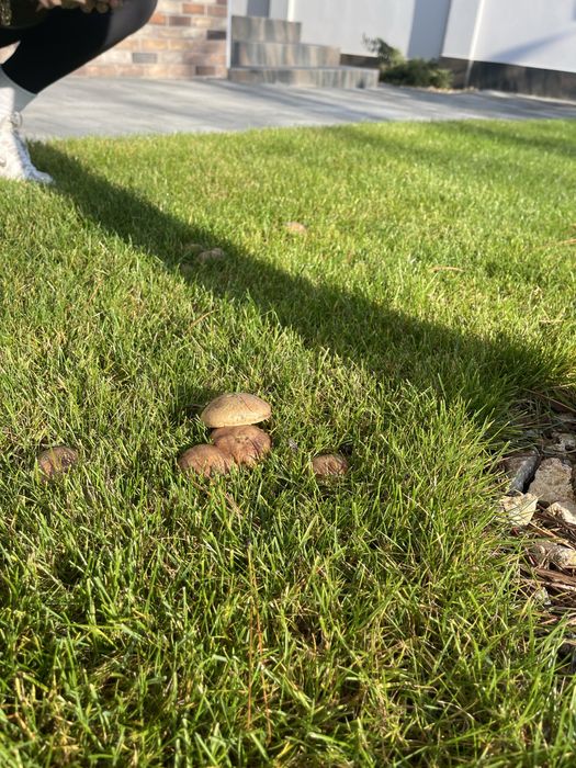 Дом по адресу ул. Бандеры Степана (площадь 155 м²) - Atlanta.ua - фото 16