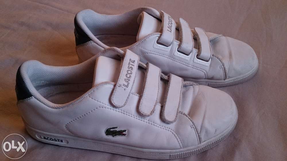 Buty Lacoste 42 - 42,5 Lublin Warszawa