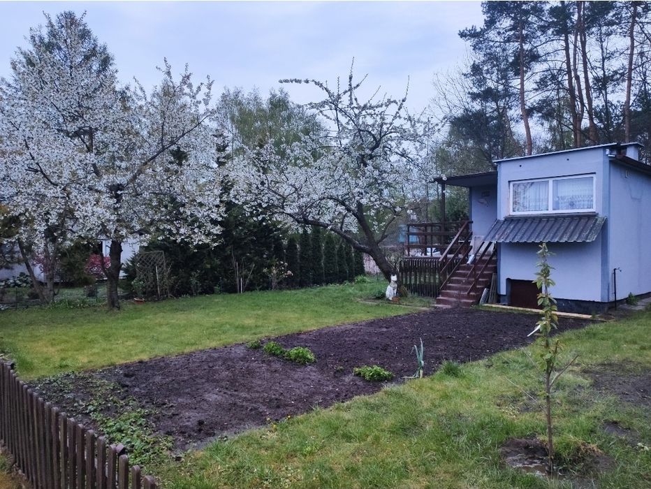 Działka ROD Las Jezioro Plaża