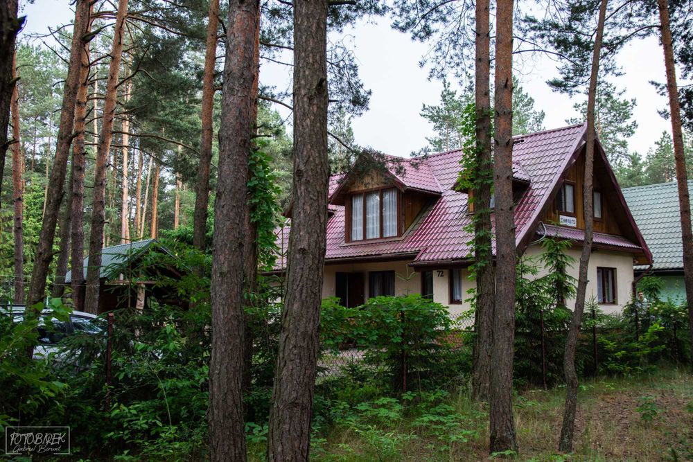 Świergotka Dom nad Zalewem