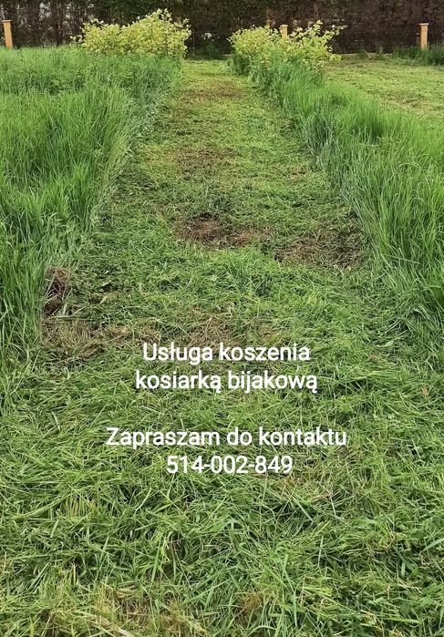 Koszenie kosiarką bijakową łąk trawników nieużytków ściernisk mulczowanie kukurydzy