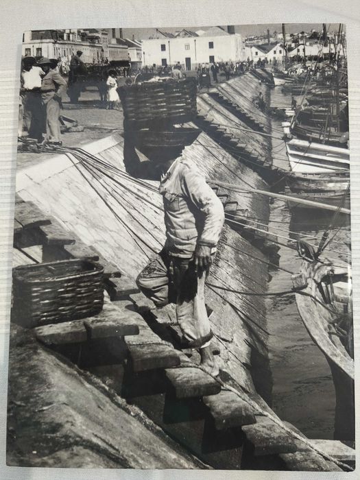 Setúbal d’Outros Tempos de Américo Ribeiro