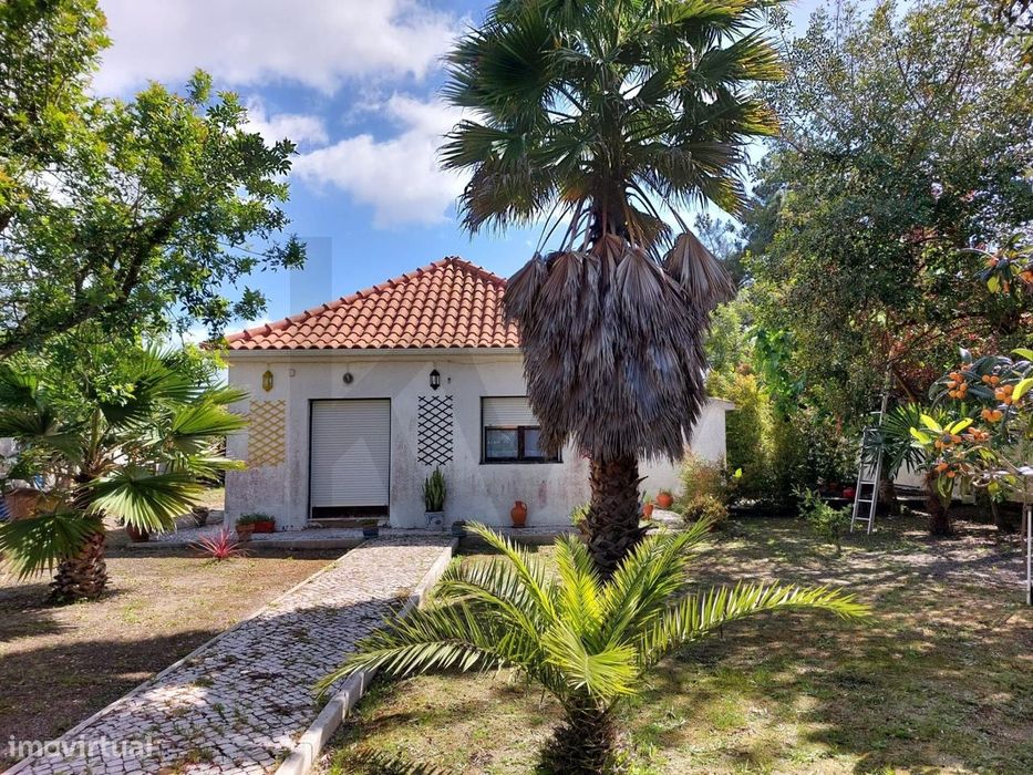 Terreno com Moradia térrea T1 - Verdizela