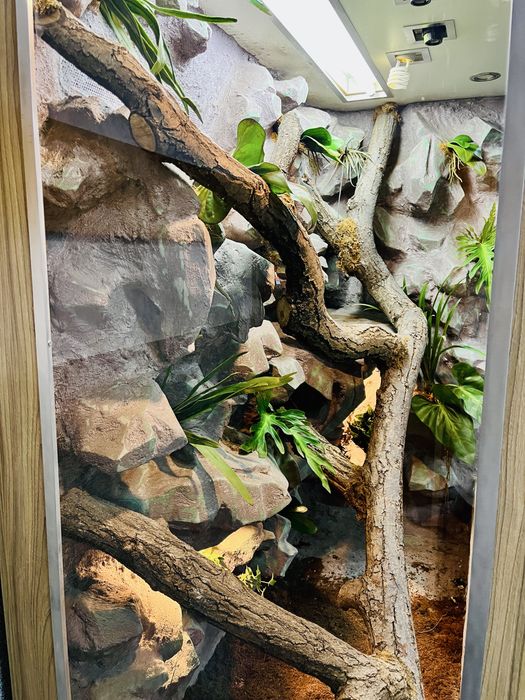 Profesjonalne Terrarium z Kamienia
