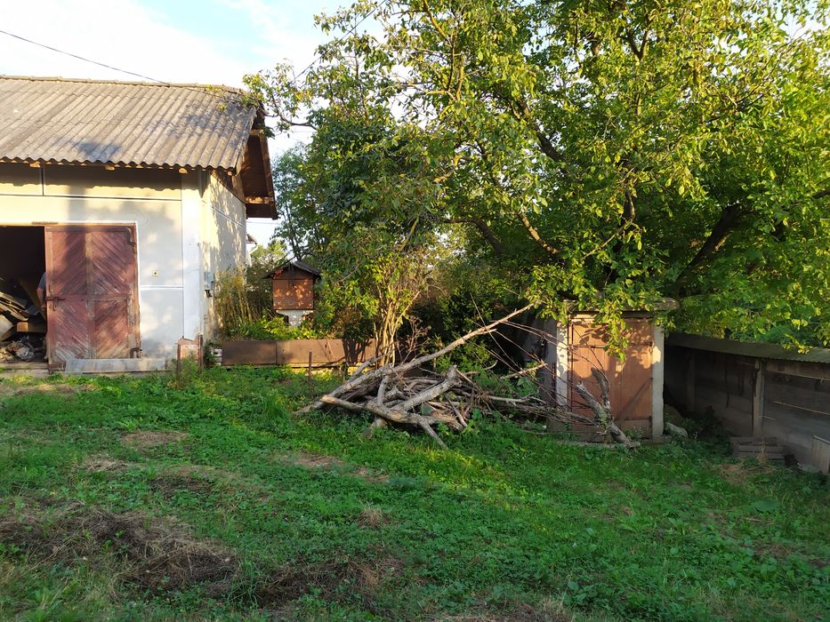 Все по телефону