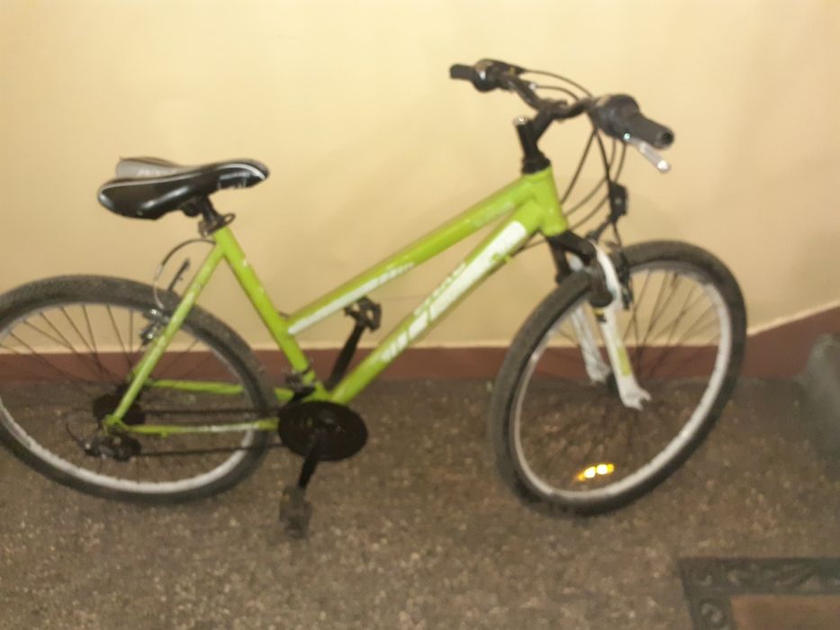 Sprzedam rowery mały 100 czerwony 80 zielony 50