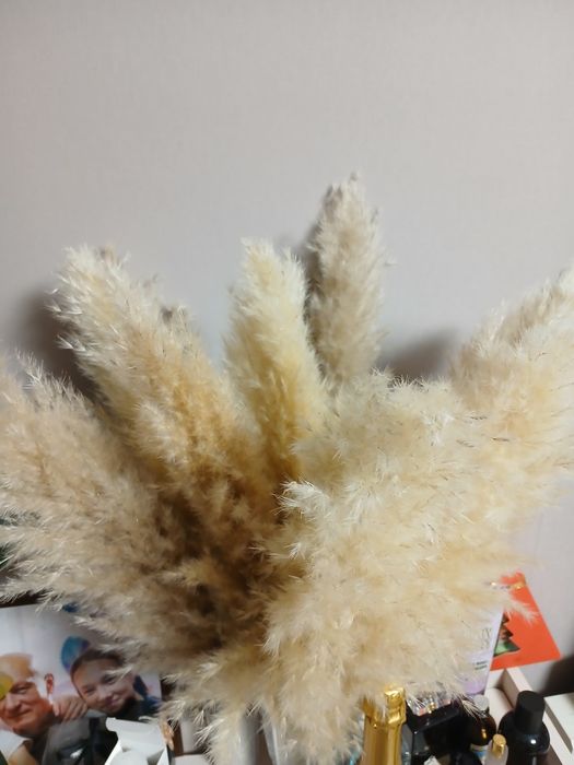 Пампасная трава!.