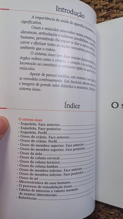 Doenças do aparelho locomotor - Volume 1