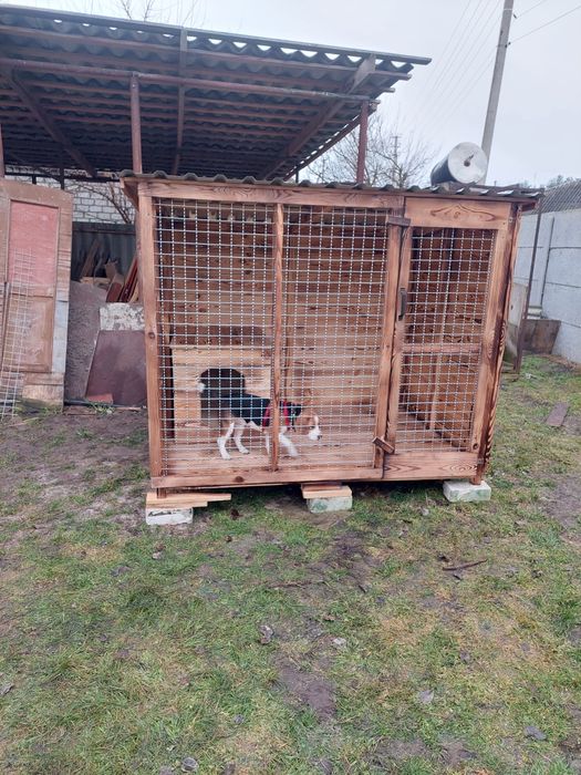 Вольєр для собак