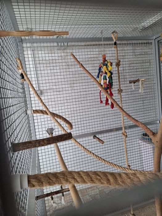 Gaiola para Aves