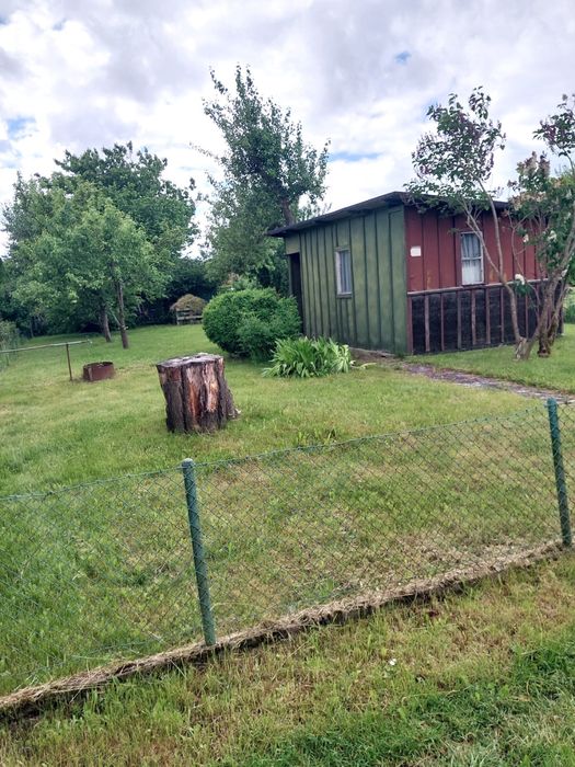 Działka rekreacyjno - ogrodnicza na sprzedaż ROD Kolejarz ul. 3 maja - Widok 5