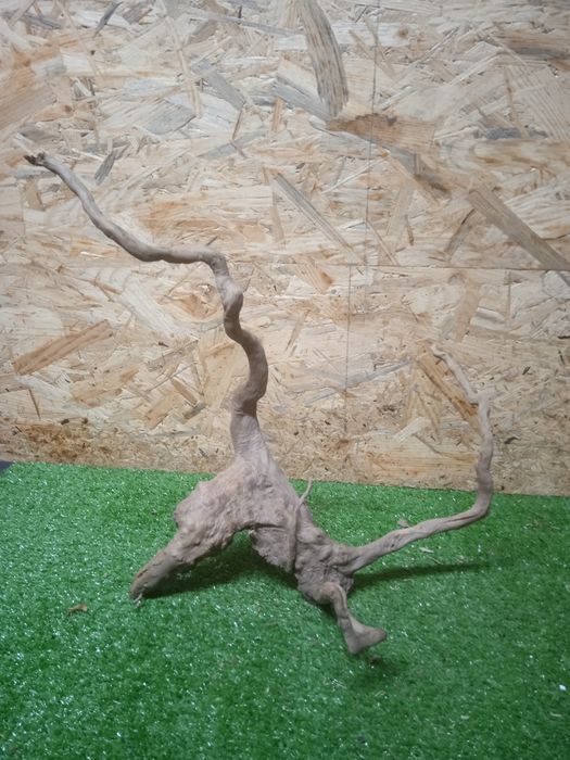 Korzeń do akwarium Red Moore Wood nr 497 o wymiarach 34/27/35