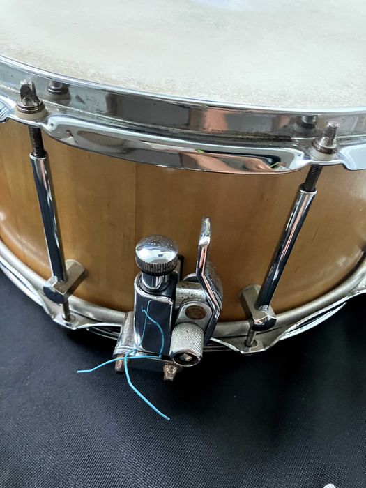 CAZZ 14×6,5″ Snare Drum • Maple Canadense (Kanadischer Ahorn)